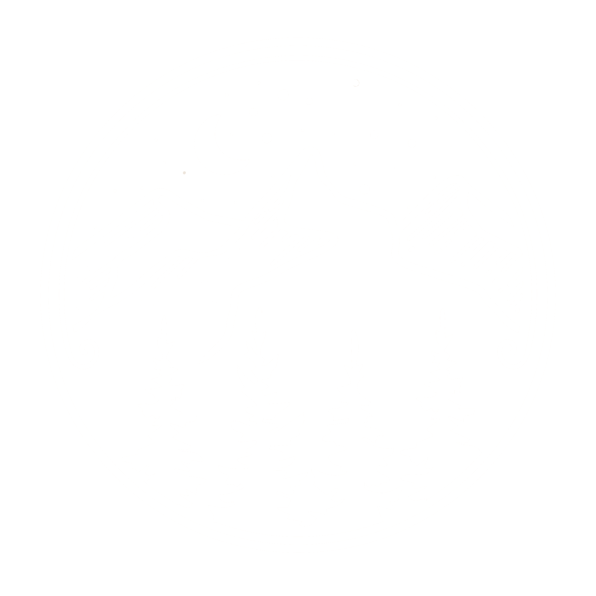 Where Wild Ones Roam