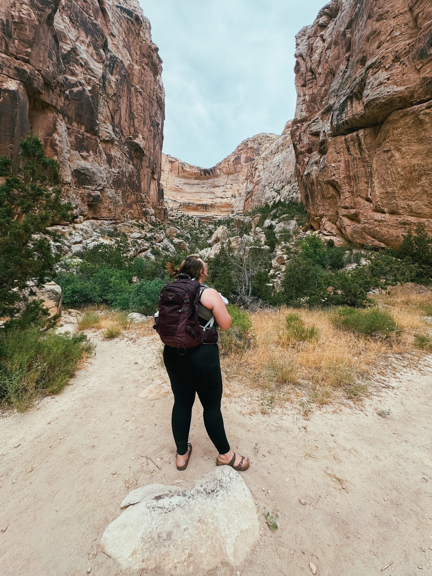 Dinosaur National Monument — photo 2