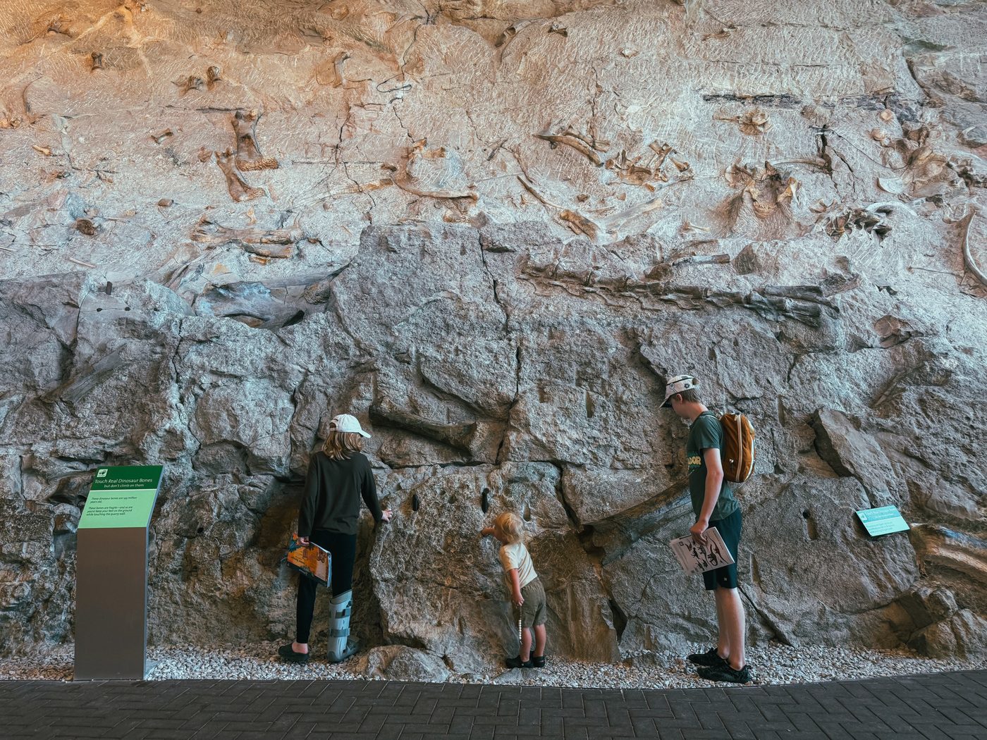 Dinosaur National Monument — photo 4