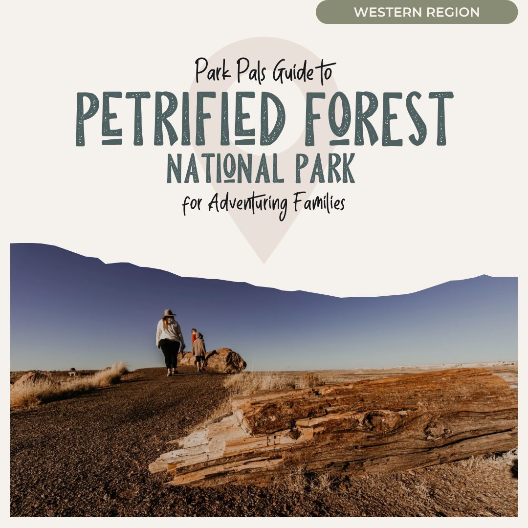 Petrified Forest NP Park Pals Guide